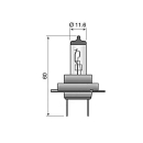 Bulb Narva H7 12V 55W socket Px26d