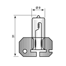 Glühlampe Osram H2 24V 70W X511 Halogen